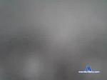 busemy chaturbate profile picture