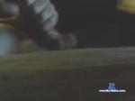 c223olt chaturbate profile picture