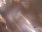 caliking1521 chaturbate profile picture