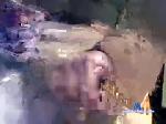 carman23 chaturbate profile picture