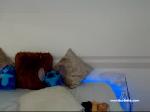 carolinavergara_8 chaturbate profile picture