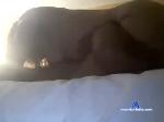 cauchi_garcia chaturbate profile picture