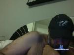 cdnvigilante chaturbate profile picture