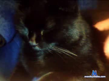 celta430 chaturbate livecam performer profile