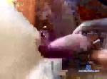 charentais2 chaturbate profile picture