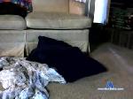 charlottecouple chaturbate profile picture