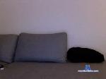 chrisdane85 chaturbate profile picture