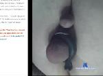 closetsissy21 chaturbate profile picture