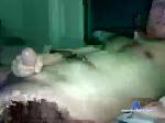 collegeguy80 chaturbate profile picture