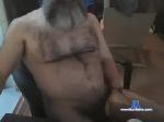 comaderjilla chaturbate profile picture