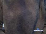 connord7ck chaturbate profile picture