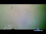 coolguyniceman55435 chaturbate profile picture