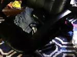 crossdress2female chaturbate profile picture