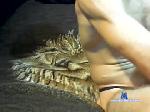 cumplaywitmyass69 chaturbate profile picture