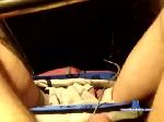 curiousjimmy4u chaturbate profile picture
