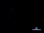 daddy_long_legg chaturbate profile picture