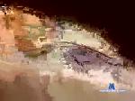 daddys_honeyhole chaturbate profile picture