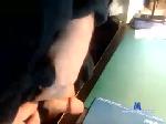danscorpion chaturbate profile picture