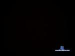 danydog123 chaturbate profile picture