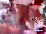 denisa2005 chaturbate profile picture