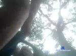 diamonique_kellam chaturbate profile picture
