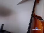 dick_treat chaturbate profile picture