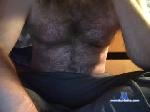 dickb69 chaturbate profile picture