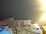 dickeroo12345 chaturbate profile picture
