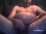 dickiedik29 chaturbate profile picture