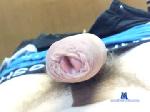 dicklever chaturbate profile picture