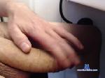 dingowhite chaturbate profile picture
