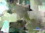 dinosaur3sum chaturbate profile picture