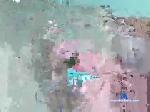 dirtybugger10 chaturbate profile picture