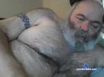 disneybear chaturbate profile picture