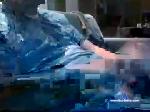 dje444 chaturbate profile picture