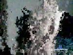 djksff chaturbate profile picture