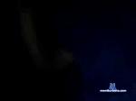 dom11031999 chaturbate profile picture