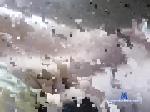 domihot99 chaturbate profile picture