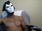 donboi031 chaturbate profile picture