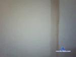 doooodyardo chaturbate profile picture