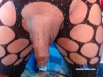 dream_real chaturbate profile picture