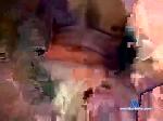eddie3012 chaturbate profile picture