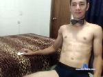 edward_elric_lover chaturbate profile picture