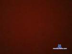 elcrack4 chaturbate profile picture