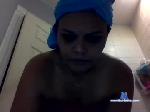 elpollo66 chaturbate profile picture