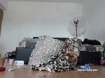 extremme_anye chaturbate profile picture