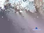 faand22 chaturbate profile picture