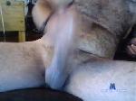 fbgnnnyumu chaturbate profile picture