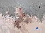 feelador chaturbate profile picture