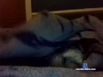 fernandoalvarez289 chaturbate profile picture